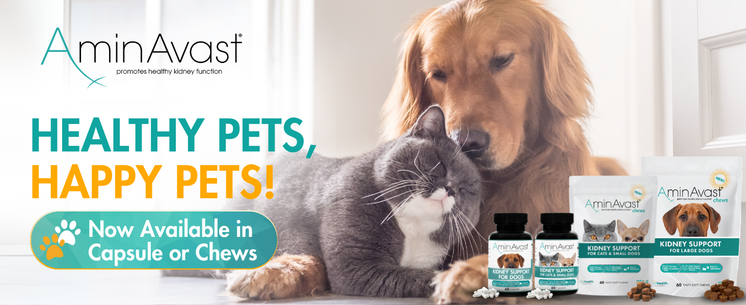 AminAvast Cat & Small Dog Kidney Support 300 mg Supplement, 60 Count 2-Pack