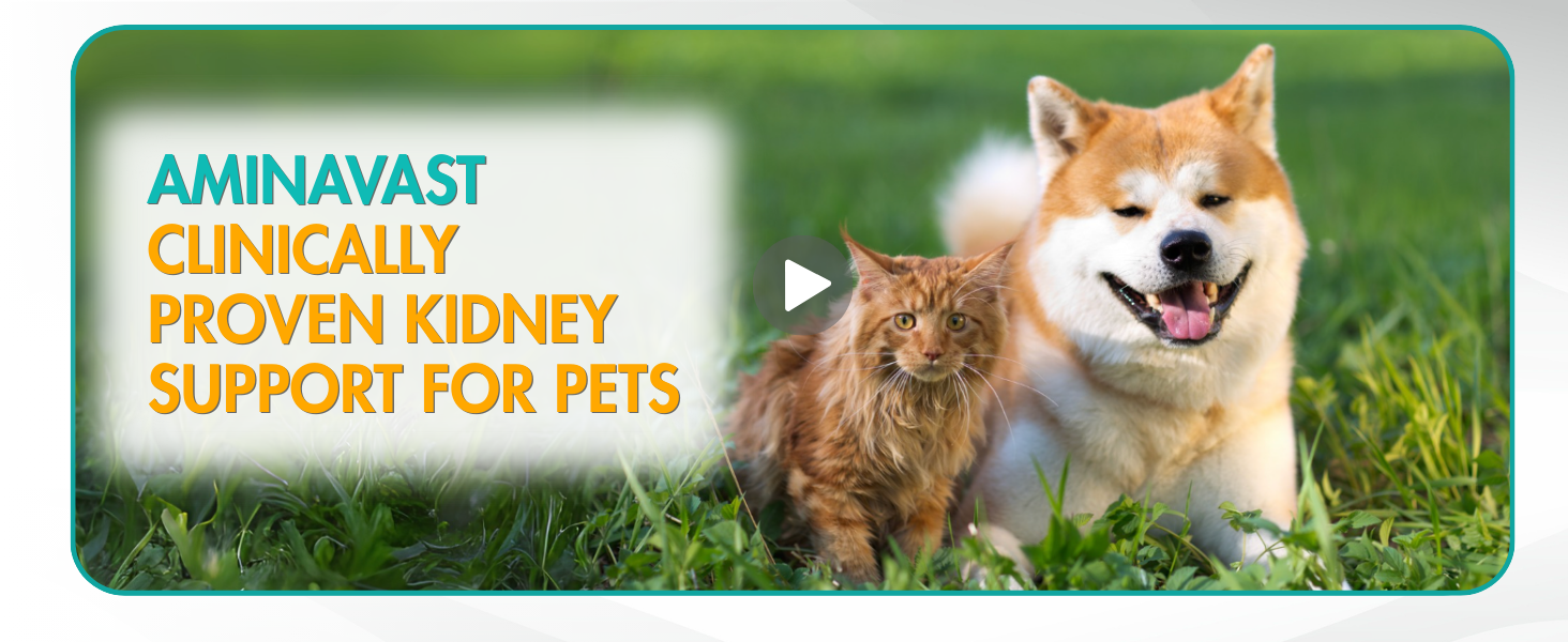 AminAvast Cat & Small Dog Kidney Support 300 mg Supplement, 60 Count 2-Pack