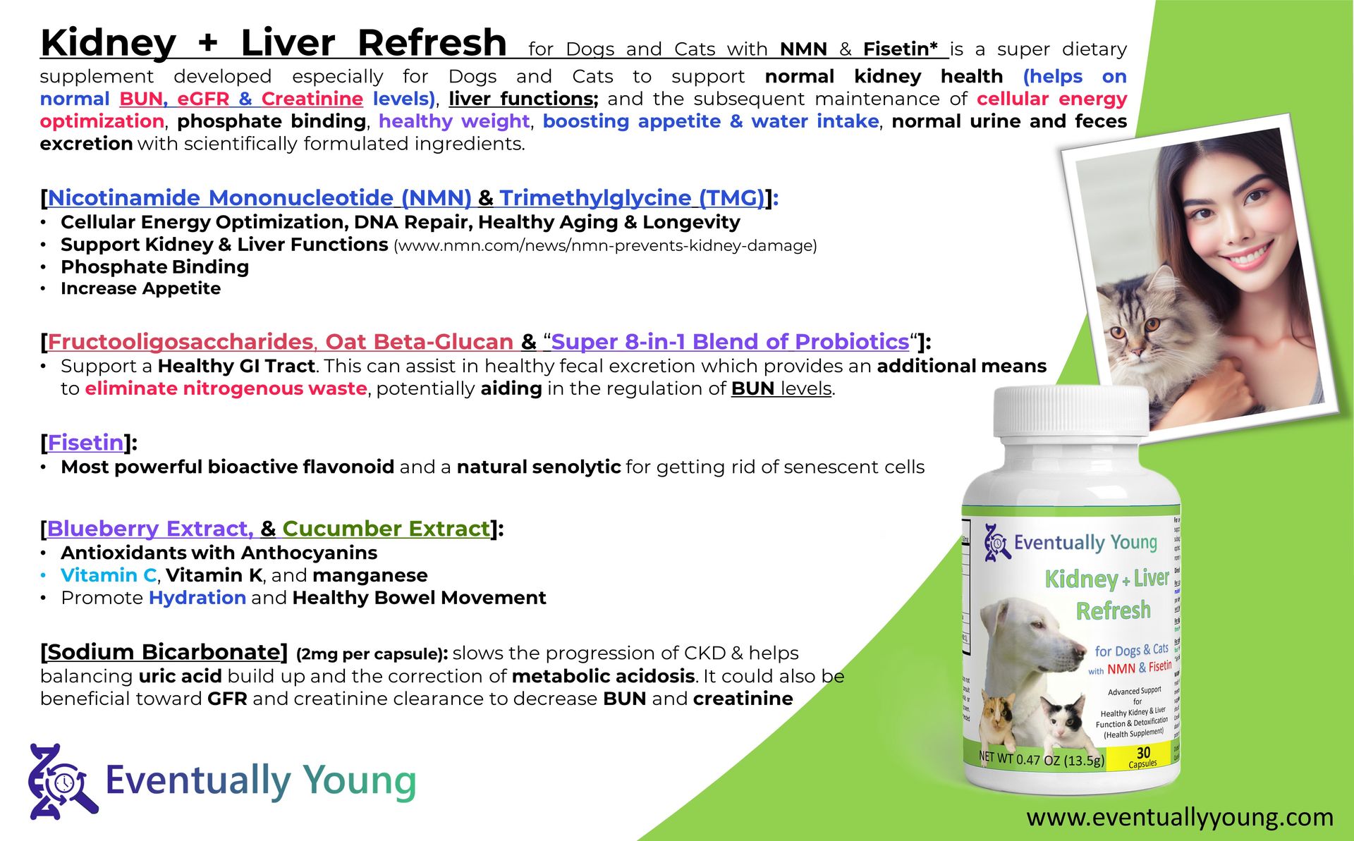 12-in-1 Kidney Support for Dog & Cat with NMN & Fisetin - Super Phosphate Binder Kidney and Liver Supplement for Feline, Canine Healthy Aging & Longevity NAD+ (60 Capsules)