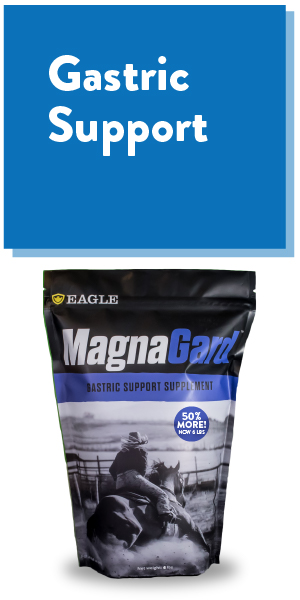 Gastric Support Supplement for Horses | Relieves Ulcers, Calming Supplement, Magnesium & Other Vital Minerals | Powder, 6 Pound Bag, 45-Day Supply | by Eagle Equine