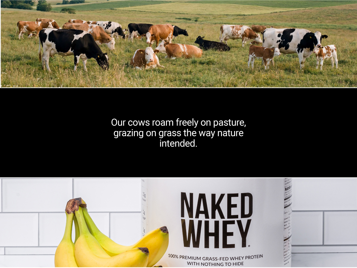 NAKED Whey 2LB 100% Grass Fed Whey Protein Powder - Only 1 Ingredient, Unflavored Whey Protein, NSF Certified, Undenatured, Gluten Free, Soy Free, No GMOs, No Preservatives