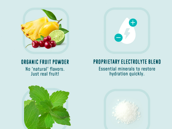 FlavCity Electrolytes Powder Packets - 28 Hydration Packets, Variety Pack - No Added Sugar - Hydration Powder with Real Fruit & Unrefined Sea Salt - Keto & Gluten-Free (28 Stick Packs)