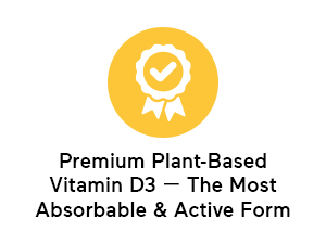 SMARTERNUTRITION Vegan Vitamin D3 5000 IU + Natural Vitamin K2 1100 mcg in Organic Coconut & Olive Oil - D3 K2 Supplement for Immune & Bone Support - 60 Softgels[30 Day Supply]