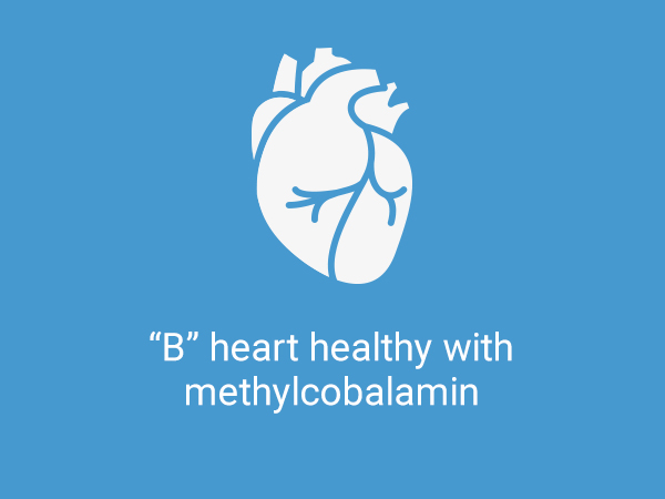 Life Extension Vitamin B12 Methylcobalamin 500mcg - Vitamin B12 Supplement for General Energy and Brain Health - Sugar Free Vegetarian Lozenges Dissolve in Your Mouth - Once Daily - 100 Count