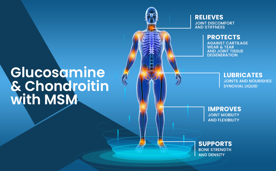 End2End Nutrition Joint Support Supplement with Glucosamine 1500mg, Chondroitin 400mg & MSM 400mg for Men and Women | Joint Health, Cartilage Support, Mobility and Flexibility - (Pack of 2) 120 Tablets