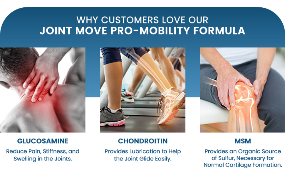 End2End Nutrition Joint Support Supplement with Glucosamine 1500mg, Chondroitin 400mg & MSM 400mg for Men and Women | Joint Health, Cartilage Support, Mobility and Flexibility - (Pack of 2) 120 Tablets