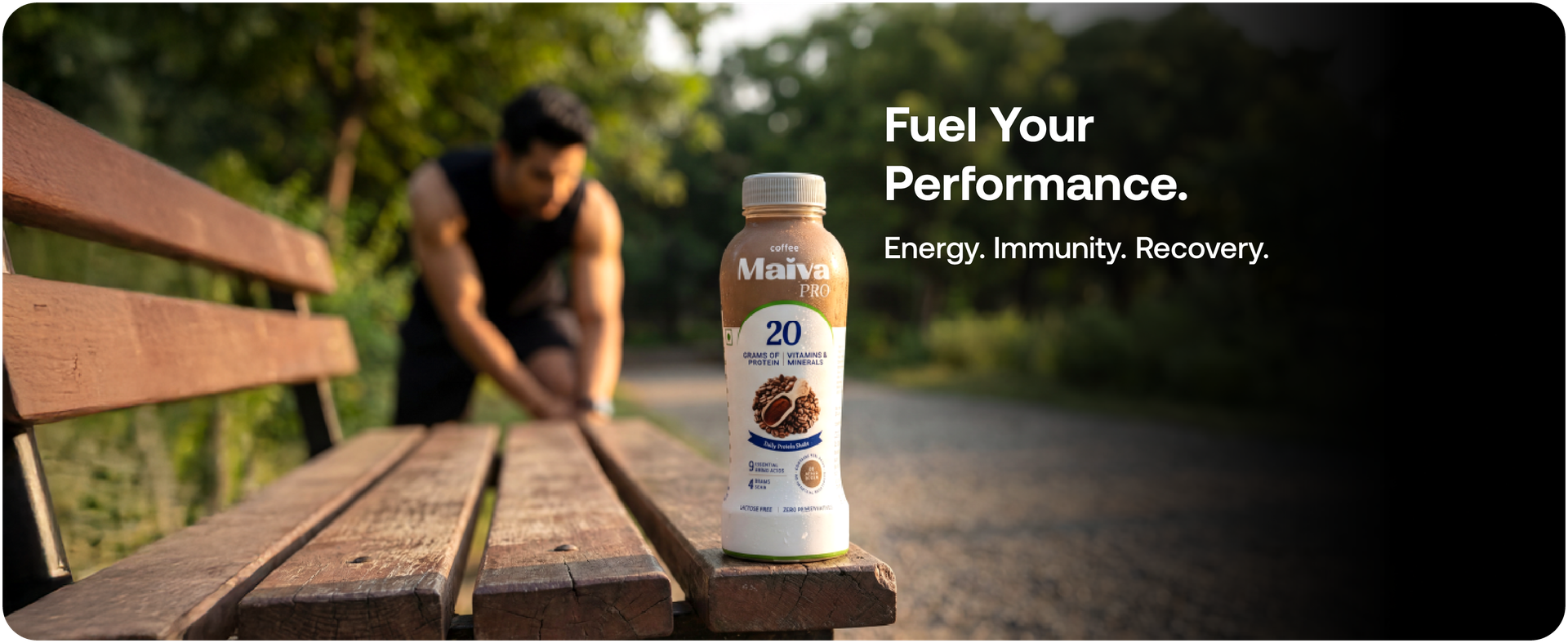 Maiva Pro Coffee Plant Protein Shake - 300ml (Pack of 12) | 20g Protein , 20 Vitamins & Minerals | Smooth & Delicious | Light on Stomach | Vegan, Lactose-Free, No Added Sugar, No Preservatives, No Artificial Sweetener