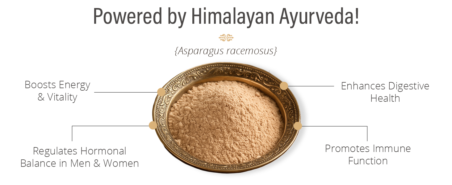 Himalayan Shatavari Powder - 80g | for Women's Health, Lactation
