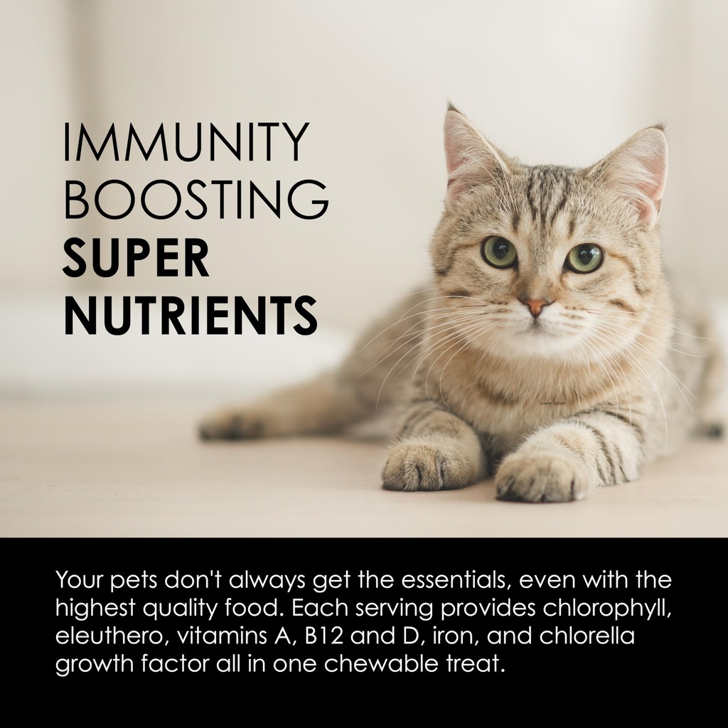 sun-chlorella-sun-pet-treats-green-super-6.jpg