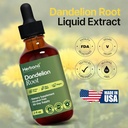 dandelion-root-2-fl-oz-liquid-extract-na-5.jpg