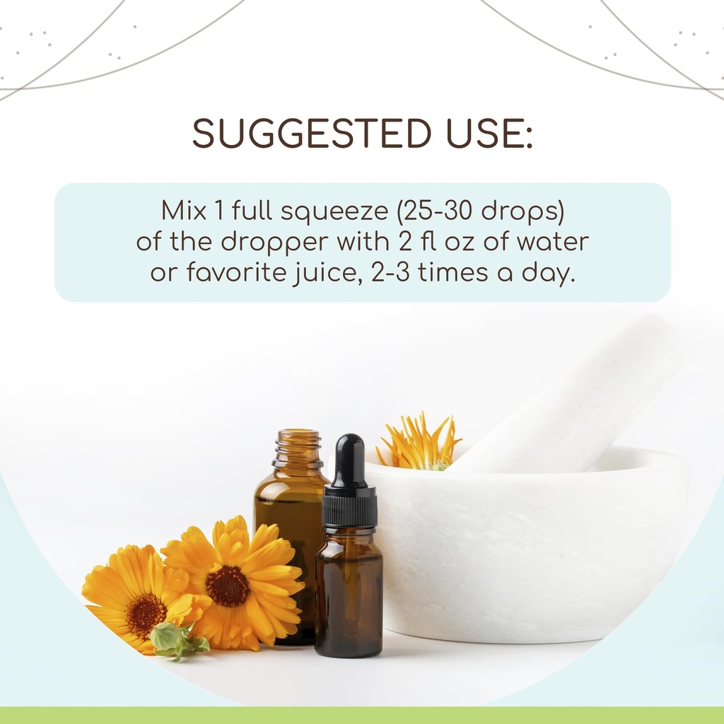 herbera-dandelion-leaf-b120-usda-organic-2.jpg
