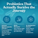 momma-prenatal-probiotics-mom-baby-gut-a-4.jpg