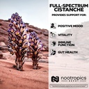 nootropics-depot-cistanche-tubulosa-caps-4.jpg