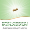 nature-s-way-milk-thistle-supports-liver-6.jpg