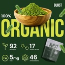 burst-organic-moringa-capsules-120-count-3.jpg