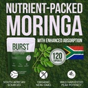 burst-organic-moringa-capsules-120-count-4.jpg