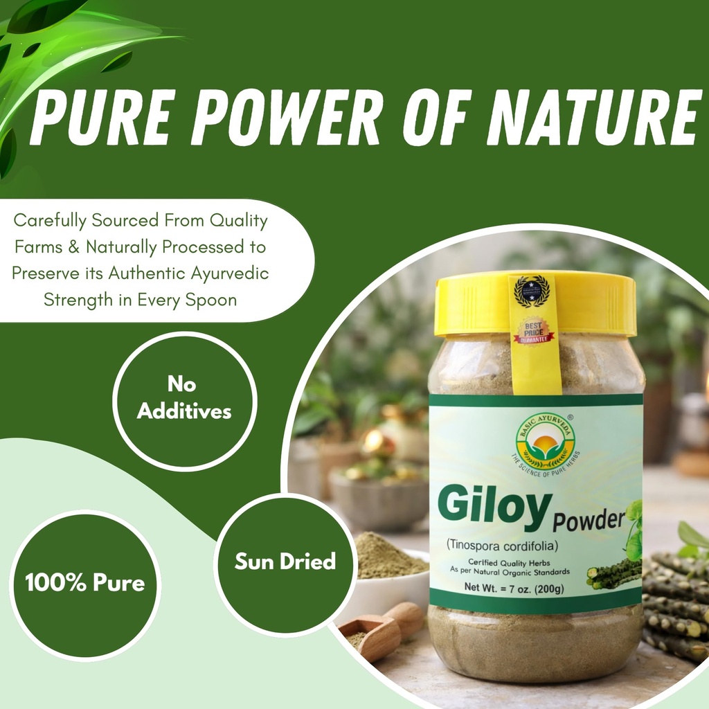 basic-ayurveda-giloy-guduchi-powder-7-05-2.jpg