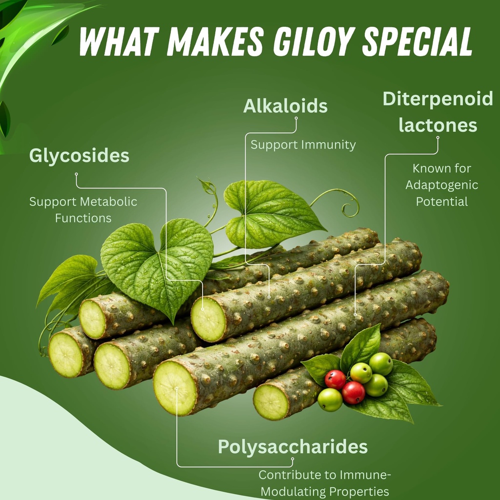 basic-ayurveda-giloy-guduchi-powder-7-05-3.jpg