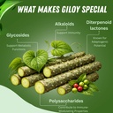 basic-ayurveda-giloy-guduchi-powder-7-05-3.jpg