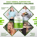 dandelion-milk-thistle-artichoke-burdock-4.jpg