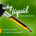 herb-pharm-uva-ursi-liquid-extracount-fo-3.jpg