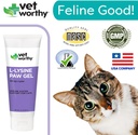 vet-worthy-lysine-paw-gel-aid-for-cats---6.jpg
