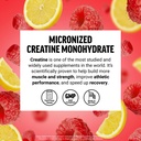 force-factor-creatine-monohydrate-powder-3.jpg