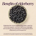 nature-s-way-sambucus-zinc-lozenges-with-5.jpg