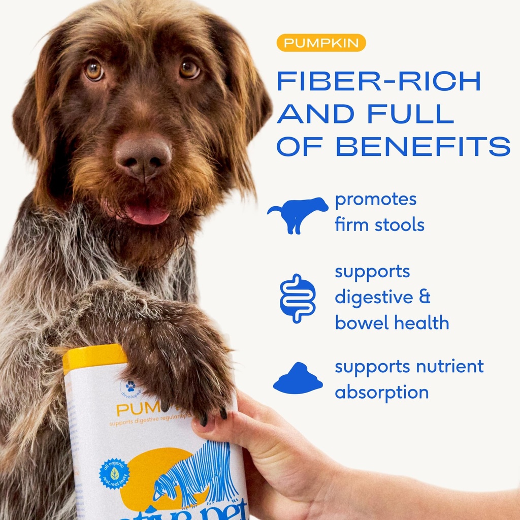 native-pet-belly-bundle-pumpkin-for-dogs-2.jpg