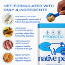 native-pet-belly-bundle-pumpkin-for-dogs-5.jpg