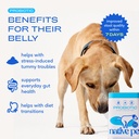 native-pet-belly-bundle-pumpkin-for-dogs-3.jpg