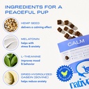 native-pet-omega-oil-for-dogs-fish-oil-s-4.jpg