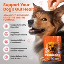 probiotics-for-dogs-dog-probiotics-for-d-3.jpg