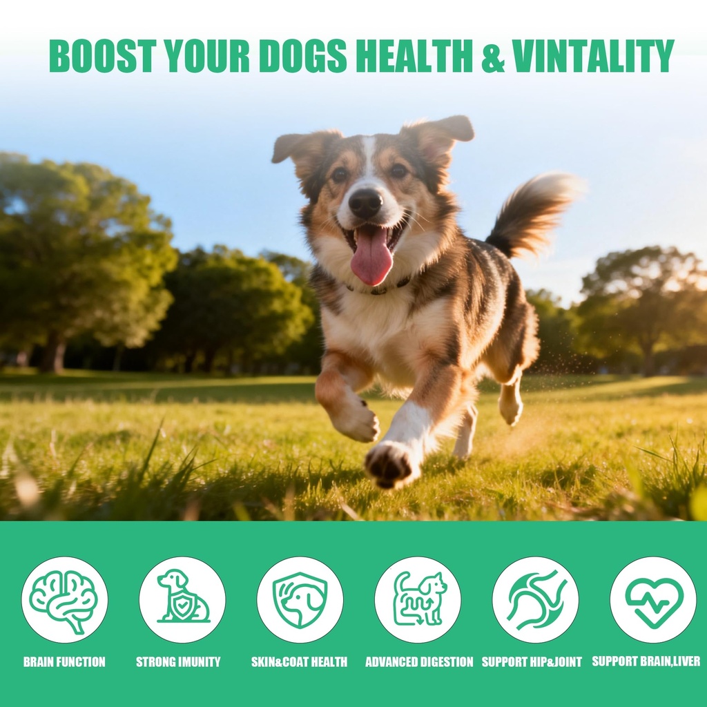 dog-vitamins-and-supplements-16-in-1-mul-6.jpg
