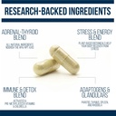 dr-westin-childs-thyroid-adrenal-reset-c-3.jpg