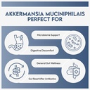 hazel-s-choice-akkermansia-probiotic-60--5.jpg