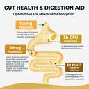 4-in-1-prebiotic-probiotic-postbiotic-fo-2.jpg
