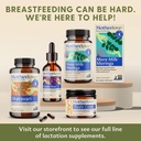 motherlove-more-milk-plus-tincture-4-oz--2.jpg