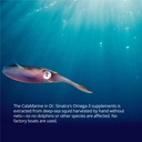 dr-sinatra-calamarine-omega-3-supplement-6.jpg