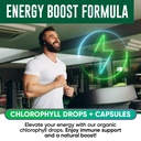 bundle-liquid-chlorophyll-drops-chloroph-5.jpg