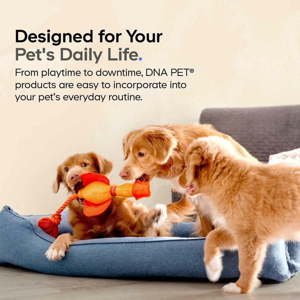 dna-pet-wild-alaskan-salmon-oil-for-dogs-5.jpg