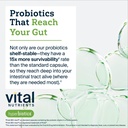 hyperbiotics-vital-nutrients-pro-15-adva-5.jpg