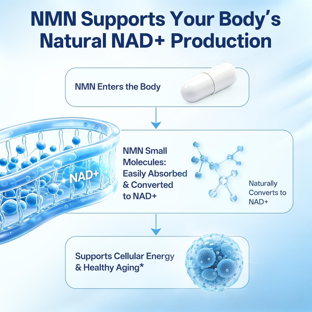 nmn-supplement-400mg-per-serving-beta-ni-4.jpg