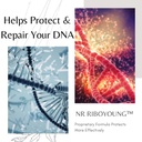 bioimmune-nad-supplement-exclusive-formu-3.jpg