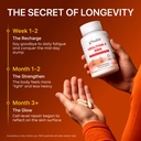 gynable-4-in-1-urolithin-a-supplement-wi-5.jpg