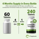 lactobacillus-fermentum-probiotic-240-ta-5.jpg
