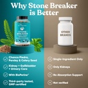 chanca-piedra-stone-breaker-the-original-5.jpg