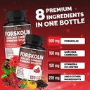 cadane-forskolin-supplement-with-garcini-3.jpg