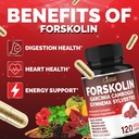 cadane-forskolin-supplement-with-garcini-4.jpg