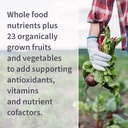 garden-of-life-vitamin-code-womens-multi-4.jpg
